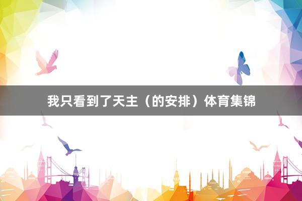 我只看到了天主（的安排）体育集锦