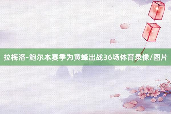 拉梅洛-鲍尔本赛季为黄蜂出战36场体育录像/图片