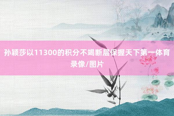 孙颖莎以11300的积分不竭断层保握天下第一体育录像/图片