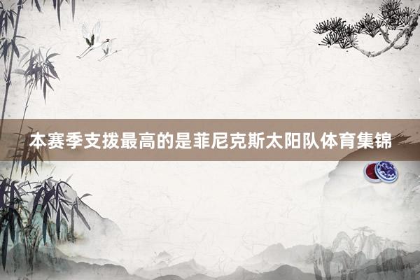 本赛季支拨最高的是菲尼克斯太阳队体育集锦