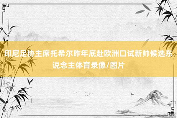印尼足协主席托希尔昨年底赴欧洲口试新帅候选东说念主体育录像/图片