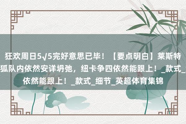狂欢周日5√5完好意思已毕!【要点明白】莱斯特城VS纽卡斯尔:蓝狐队内依然安详坍弛,纽卡争四依然能跟上!_款式_细节_英超体育集锦