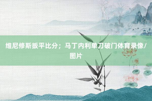 维尼修斯扳平比分；马丁内利单刀破门体育录像/图片