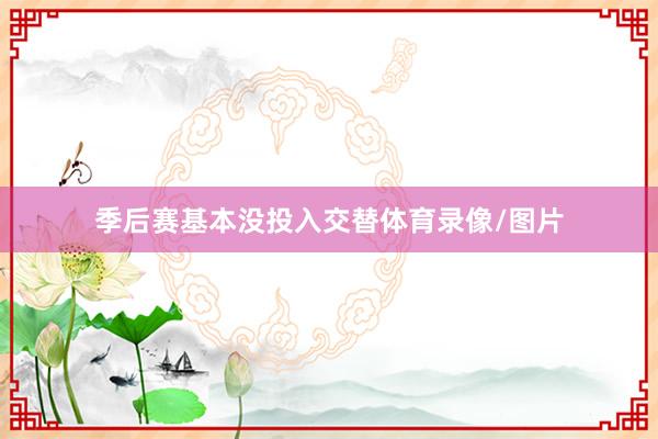 季后赛基本没投入交替体育录像/图片
