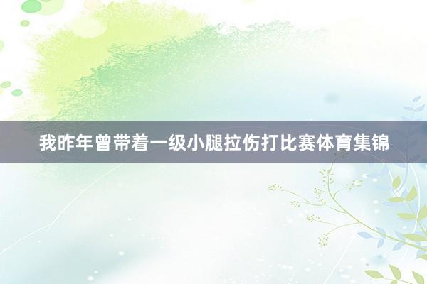 我昨年曾带着一级小腿拉伤打比赛体育集锦