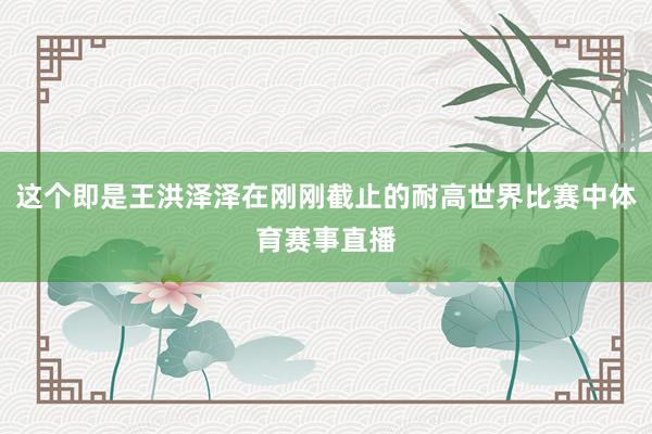 这个即是王洪泽泽在刚刚截止的耐高世界比赛中体育赛事直播
