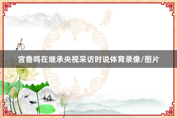 宫鲁鸣在继承央视采访时说体育录像/图片