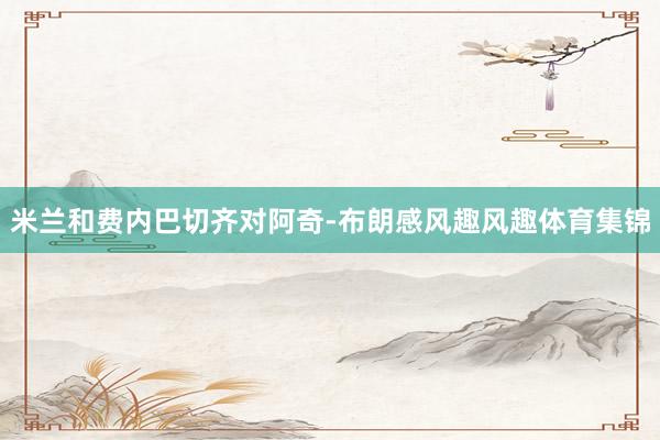 米兰和费内巴切齐对阿奇-布朗感风趣风趣体育集锦