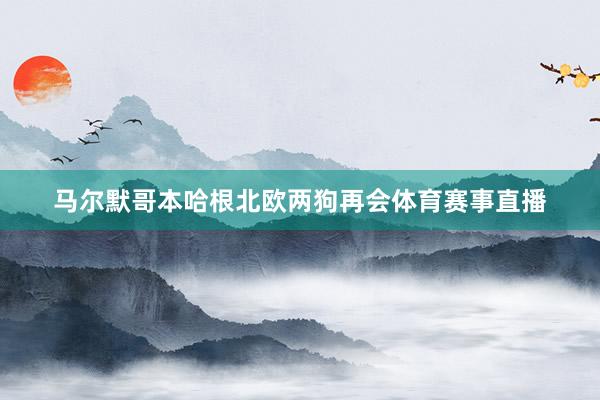 马尔默哥本哈根北欧两狗再会体育赛事直播