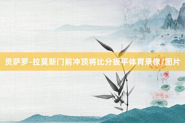 贡萨罗-拉莫斯门前冲顶将比分扳平体育录像/图片