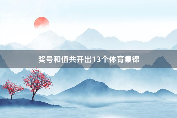 奖号和值共开出13个体育集锦