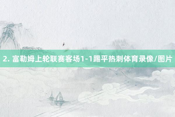 2. 富勒姆上轮联赛客场1-1踢平热刺体育录像/图片