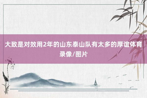 大致是对效用2年的山东泰山队有太多的厚谊体育录像/图片