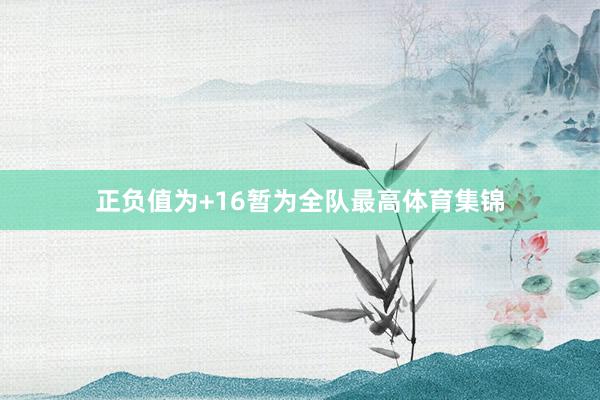 正负值为+16暂为全队最高体育集锦