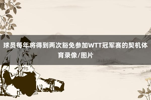 球员每年将得到两次豁免参加WTT冠军赛的契机体育录像/图片