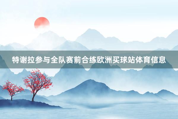 特谢拉参与全队赛前合练欧洲买球站体育信息