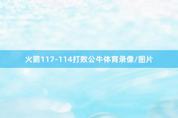 火箭117-114打败公牛体育录像/图片